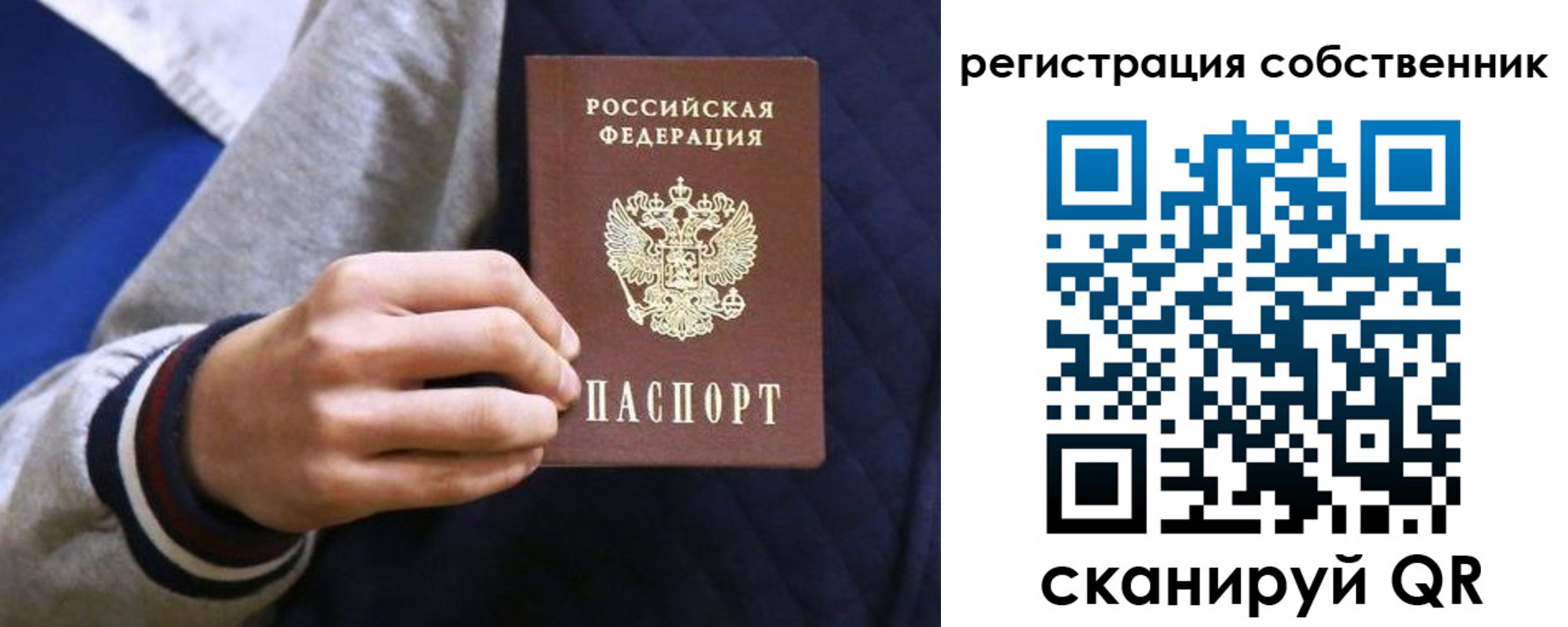 прописка поиск в Купино